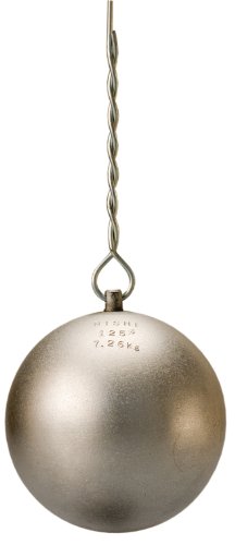 NISHI(ニシ・スポーツ) 陸上競技 ハンマー投 ハンマー練習用 7.26kg T5605