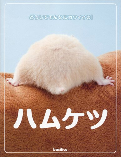 ハムケツ