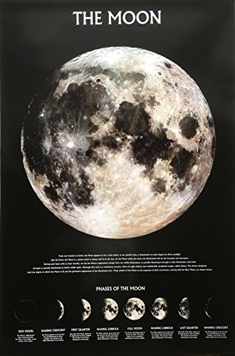 THE MOON 月　ポスター
