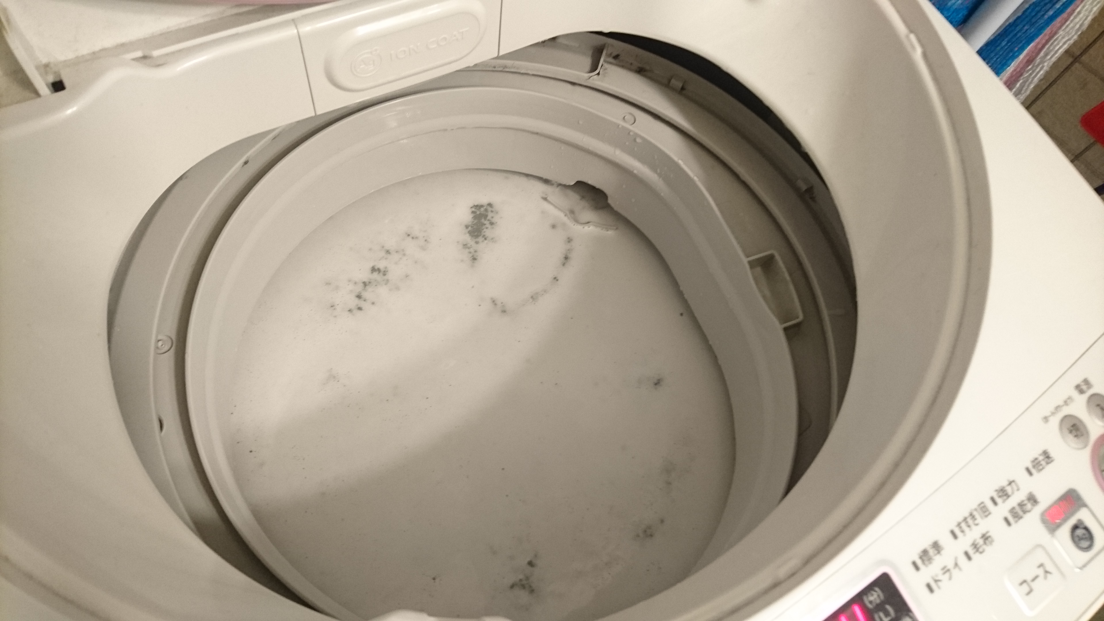 ５年洗ってない洗濯機を洗濯槽クリーナーで洗濯した結果がこちら
