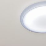 シーリングライトの中で死んでる小さい謎の虫は一体何なのか、理由は?