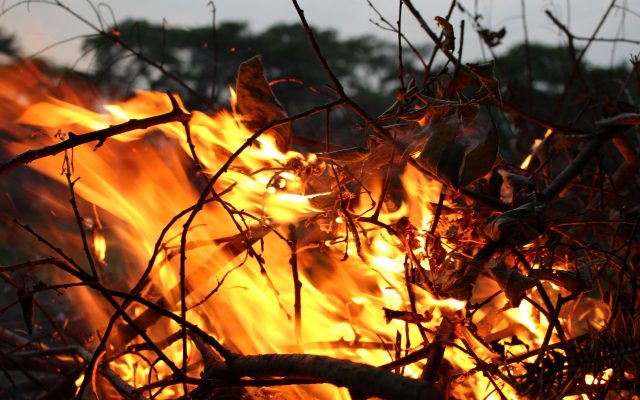 なぜ山火事は起こるのか