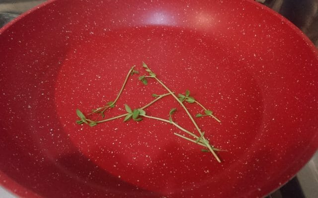 【実験】植物に音楽を聞かせると本当によく成長するのか？後編