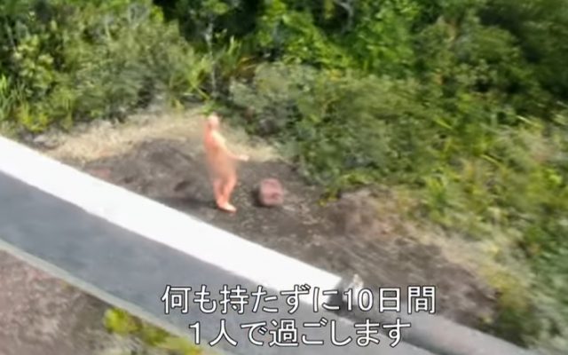究極の時間泥棒!今ディスカバリーチャンネルが面白すぎる