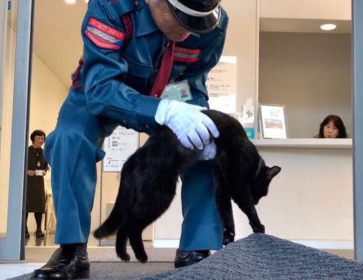 死んだふりして館内に入ろうとする猫と警備員の飽くなき戦い