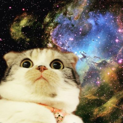 大量画像 宇宙 猫のスペースキャットコラ画像まとめ Notissary